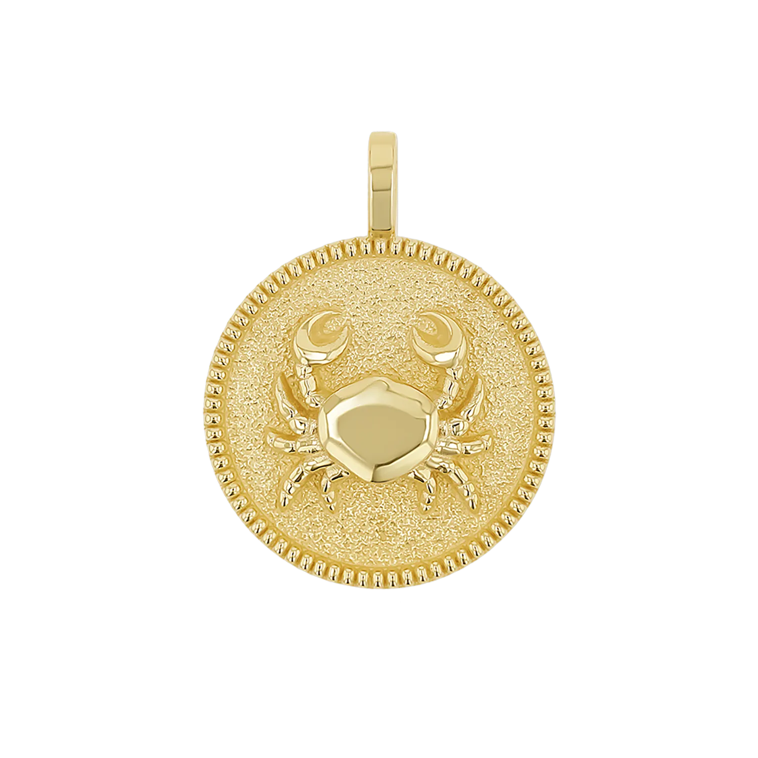 Zodiac Coin Medallion Charm